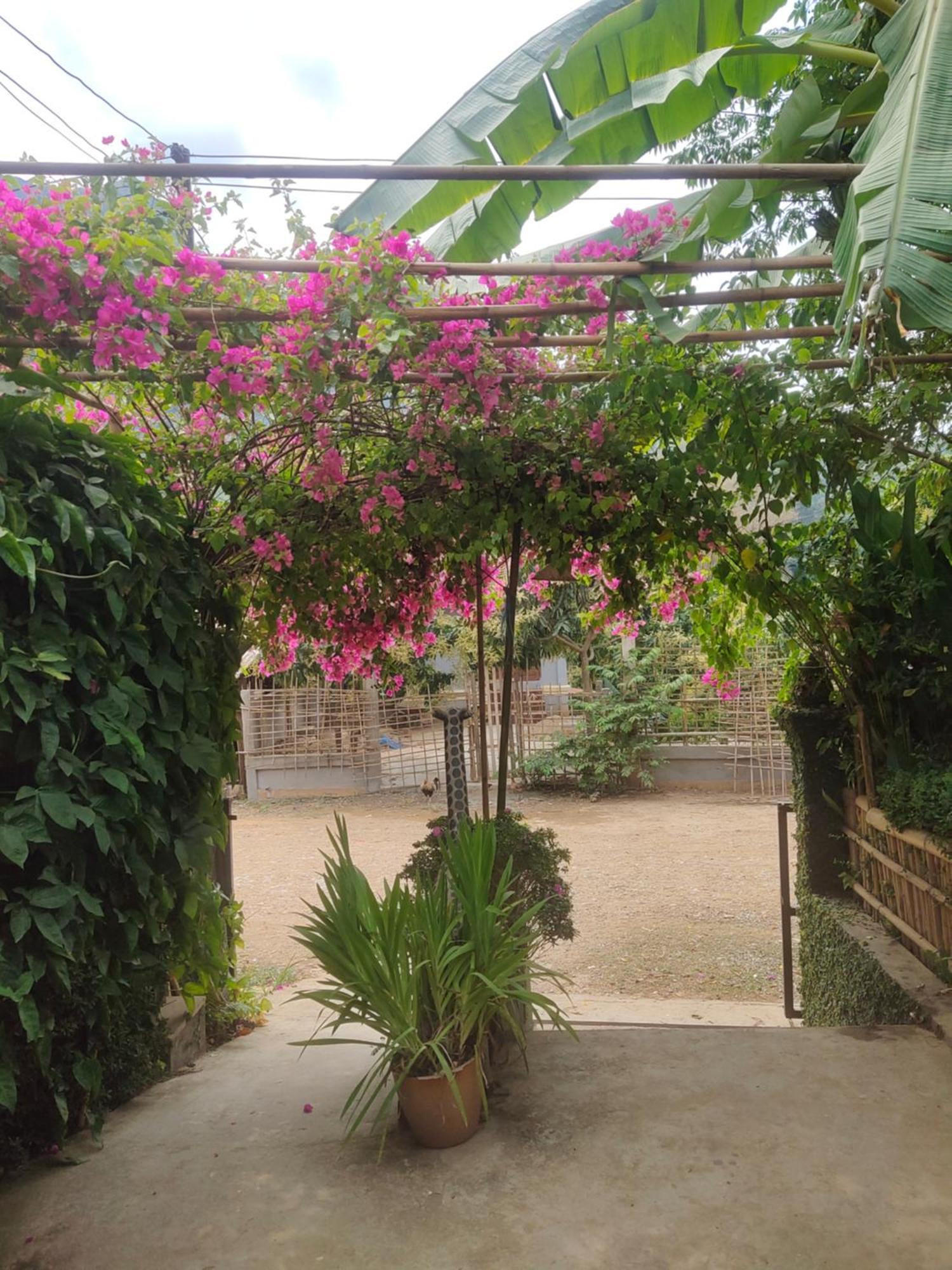 Meexok Guesthouse Nongkhiaw Exterior foto